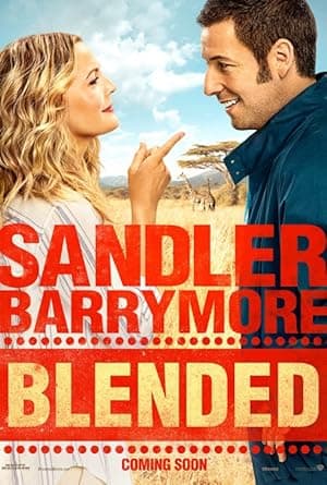 movie poster for BLENDED